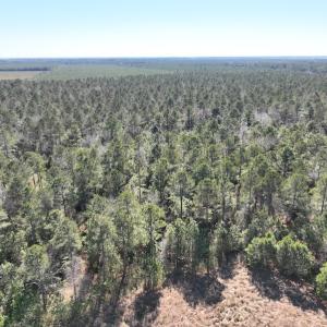 Photo #10 of SOLD property in 325 Trailwood Court, Edenton, NC 16.8 acres