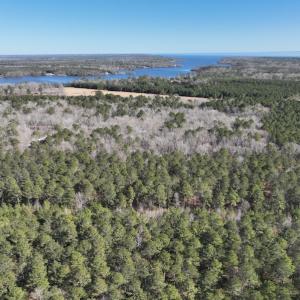 Photo #11 of SOLD property in 325 Trailwood Court, Edenton, NC 16.8 acres