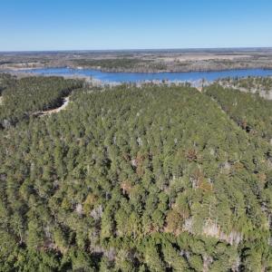 Photo #12 of SOLD property in 325 Trailwood Court, Edenton, NC 16.8 acres