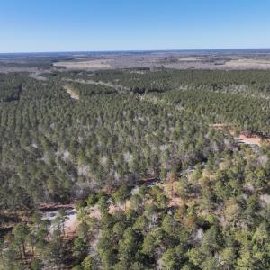 Photo #13 of SOLD property in 325 Trailwood Court, Edenton, NC 16.8 acres