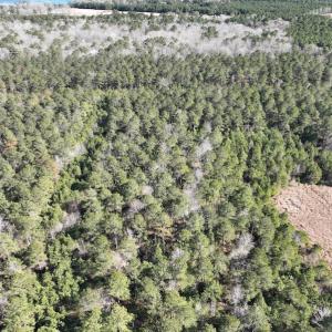 Photo #14 of SOLD property in 325 Trailwood Court, Edenton, NC 16.8 acres