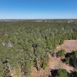 Photo #16 of SOLD property in 325 Trailwood Court, Edenton, NC 16.8 acres