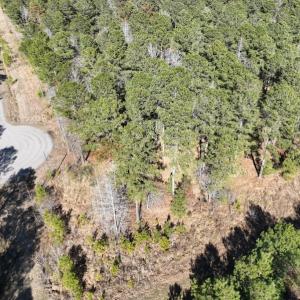 Photo #17 of SOLD property in 325 Trailwood Court, Edenton, NC 16.8 acres