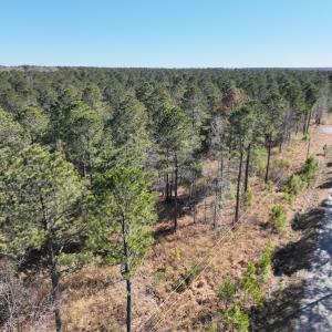 Photo #2 of SOLD property in 325 Trailwood Court, Edenton, NC 16.8 acres