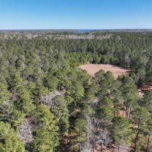 Photo #4 of SOLD property in 325 Trailwood Court, Edenton, NC 16.8 acres