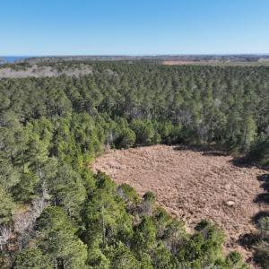 Photo #5 of SOLD property in 325 Trailwood Court, Edenton, NC 16.8 acres