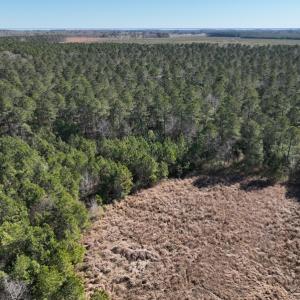 Photo #6 of SOLD property in 325 Trailwood Court, Edenton, NC 16.8 acres