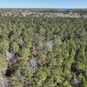 Photo #7 of SOLD property in 325 Trailwood Court, Edenton, NC 16.8 acres