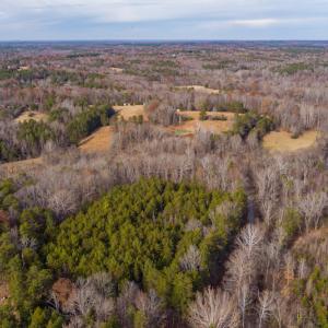 Photo #10 of SOLD property in Off State Road 1580, Leasburg, NC 22.9 acres