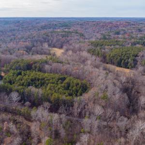 Photo #6 of SOLD property in Off State Road 1580, Leasburg, NC 22.9 acres