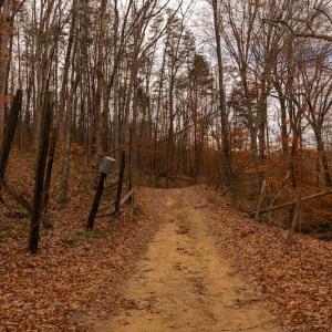 Photo #13 of SOLD property in Off State Road 1580, Leasburg, NC 22.9 acres