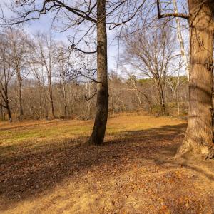 Photo #15 of SOLD property in Off State Road 1580, Leasburg, NC 22.9 acres