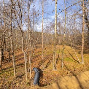 Photo #16 of SOLD property in Off State Road 1580, Leasburg, NC 22.9 acres