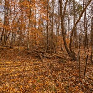 Photo #18 of SOLD property in Off State Road 1580, Leasburg, NC 22.9 acres
