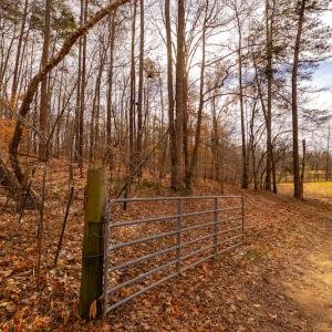 Photo #19 of SOLD property in Off State Road 1580, Leasburg, NC 22.9 acres