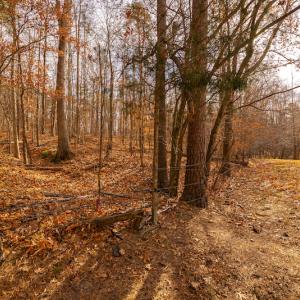 Photo #20 of SOLD property in Off State Road 1580, Leasburg, NC 22.9 acres