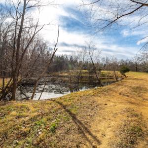 Photo #21 of SOLD property in Off State Road 1580, Leasburg, NC 22.9 acres
