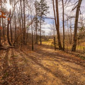 Photo #22 of SOLD property in Off State Road 1580, Leasburg, NC 22.9 acres