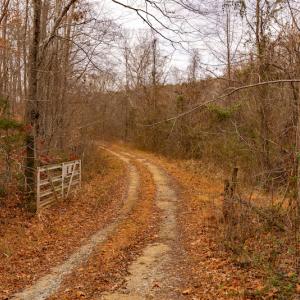 Photo #24 of SOLD property in Off State Road 1580, Leasburg, NC 22.9 acres
