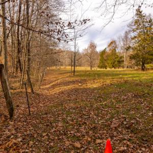 Photo #29 of SOLD property in Off State Road 1580, Leasburg, NC 22.9 acres