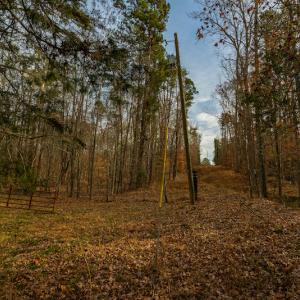 Photo #30 of SOLD property in Off State Road 1580, Leasburg, NC 22.9 acres