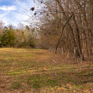 Photo #34 of SOLD property in Off State Road 1580, Leasburg, NC 22.9 acres