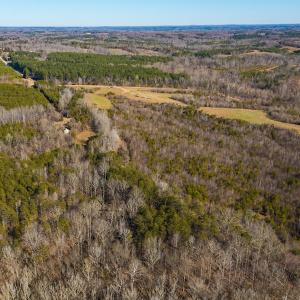 Photo #37 of Off Weadon Road, Blanch, NC 246.0 acres