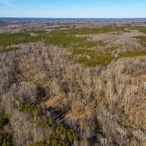 Photo #38 of Off Weadon Road, Blanch, NC 246.0 acres