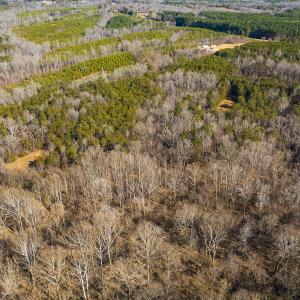 Photo #40 of Off Weadon Road, Blanch, NC 246.0 acres