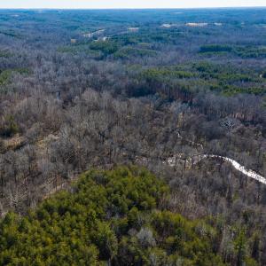 Photo #42 of Off Weadon Road, Blanch, NC 246.0 acres