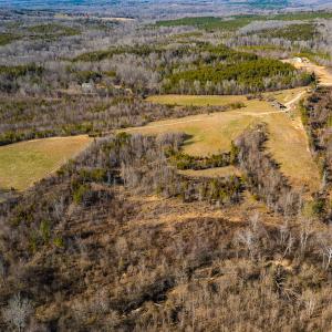 Photo #4 of Off Weadon Road, Blanch, NC 246.0 acres