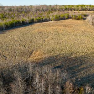 Photo #6 of Off Weadon Road, Blanch, NC 246.0 acres