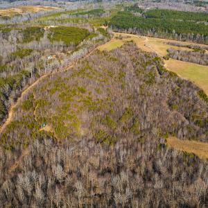 Photo #7 of Off Weadon Road, Blanch, NC 246.0 acres