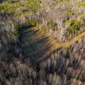 Photo #8 of Off Weadon Road, Blanch, NC 246.0 acres