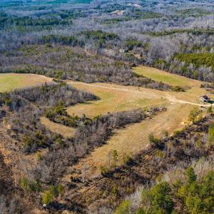 Photo #10 of Off Weadon Road, Blanch, NC 246.0 acres