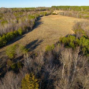 Photo #48 of Off Weadon Road, Blanch, NC 246.0 acres