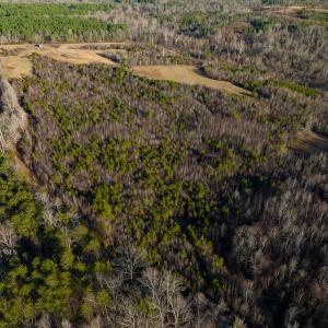 Photo #50 of Off Weadon Road, Blanch, NC 246.0 acres