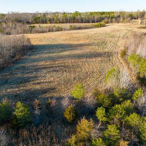 Photo #51 of Off Weadon Road, Blanch, NC 246.0 acres