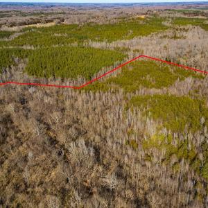 Photo #14 of Off Weadon Road, Blanch, NC 246.0 acres