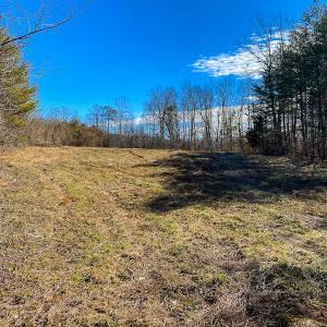 Photo #30 of Off Weadon Road, Blanch, NC 246.0 acres