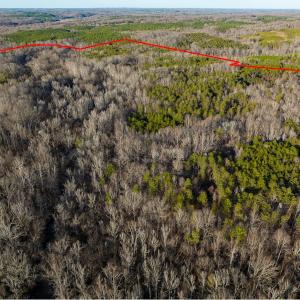 Photo #31 of Off Weadon Road, Blanch, NC 246.0 acres