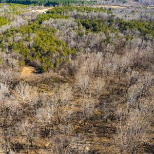 Photo #34 of Off Weadon Road, Blanch, NC 246.0 acres