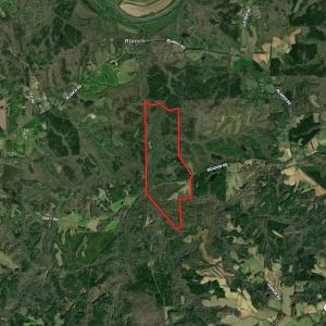 Photo #52 of Off Weadon Road, Blanch, NC 246.0 acres