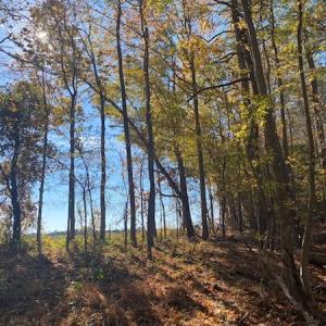 Photo #2 of SOLD property in Cypress Bridge Park, Newsoms, VA 63.4 acres