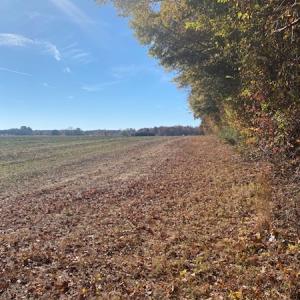 Photo #3 of SOLD property in Cypress Bridge Park, Newsoms, VA 63.4 acres