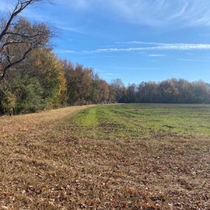 Photo #4 of SOLD property in Cypress Bridge Park, Newsoms, VA 63.4 acres