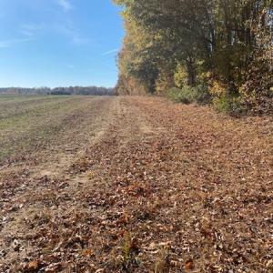 Photo #5 of SOLD property in Cypress Bridge Park, Newsoms, VA 63.4 acres