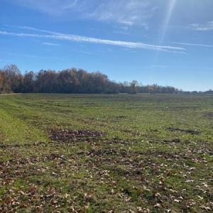 Photo #6 of SOLD property in Cypress Bridge Park, Newsoms, VA 63.4 acres