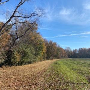 Photo #7 of SOLD property in Cypress Bridge Park, Newsoms, VA 63.4 acres