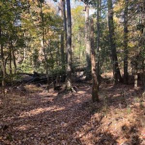 Photo #8 of SOLD property in Cypress Bridge Park, Newsoms, VA 63.4 acres